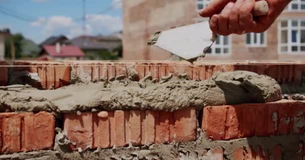 Trabalhador masculino coloca tijolo na parede com cimento usando espátula. Fechar V2 — Vídeo de Stock