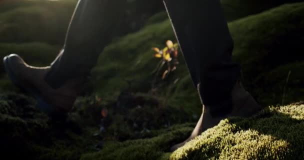 Una vista da vicino di un uomo gambe in stivali marroni a piedi su muschio verde ed erba in ghianda V2 — Video Stock