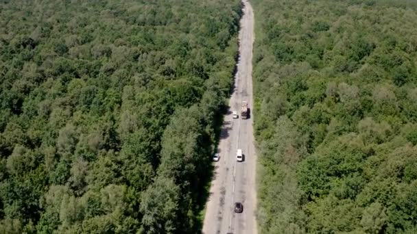 Luchtfoto van White Truck met Cargo Semi Aanhangwagen en verschillende auto 's Verhuizen op de weg in het bos. — Stockvideo