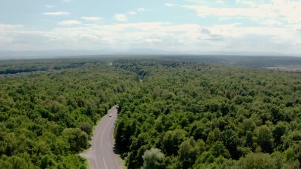 Vista aérea do caminhão branco com reboque de carga Semi e vários carros Movendo-se na estrada na floresta. V3 — Vídeo de Stock