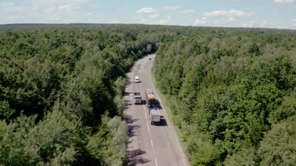 Вид с воздуха на белый грузовик с грузовым полуприцепом и несколькими автомобилями, движущимися по дороге в лесу. V6 — стоковое видео