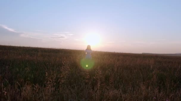 Vista aérea do drone Uma mulher que caminha feliz através de um campo que toca com as orelhas do trigo da mão e a luz solar no campo do trigo no por do sol colorido incrível — Vídeo de Stock