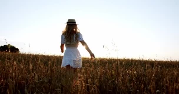 Una mujer felizmente correr a través de un campo y la luz del sol en el campo de trigo en el atardecer colorido increíble. Cámara dinámica . — Vídeos de Stock