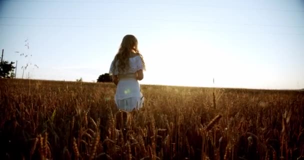 Bir kadın buğday tarlasında yürür ve hasır şapka takar.. — Stok video