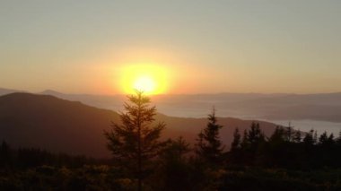 Hava aracı görüntüsü. Dağlarda gün doğumu ya da gün batımı, güneşin altında ağaçların üzerinden uçmak