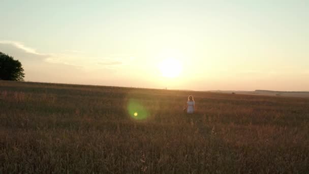 Vista aérea del dron Una mujer caminando felizmente a través de un campo tocando con las espigas de trigo de mano y la luz del sol en el campo de trigo en increíble colorido atardecer V4 — Vídeos de Stock