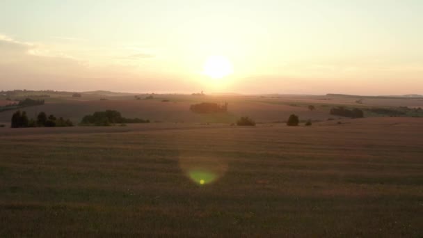 日落时分，无人机在麦田上空盘旋. — 图库视频影像