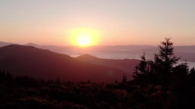 Hava aracı görüntüsü. Dağlarda gün doğumu veya günbatımı, güneşin altında ağaçların üzerinden uçmak.