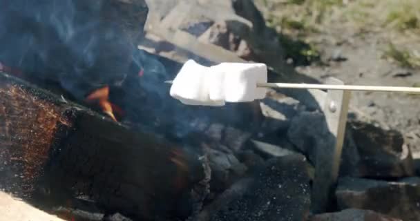 Zeitlupe Braten von Marshmallows am Lagerfeuer beim Zelten in der Natur. Nahaufnahme — Stockvideo