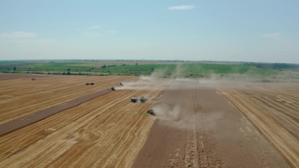 Vue aérienne par drone de nombreuses machines de récolte coupant des cultures de blé mûr prêtes à être transportées et raffinées. Vue large V2 — Video