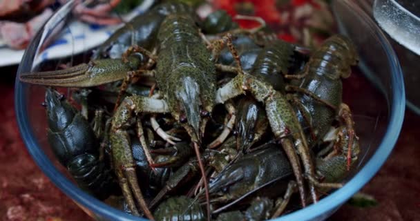 Langosta o cangrejo de río fresco saludable y activo se mueven en un plato. — Vídeos de Stock