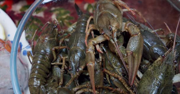 Des langoustes ou écrevisses fraîches saines et actives se déplacent dans une assiette. V2 — Video