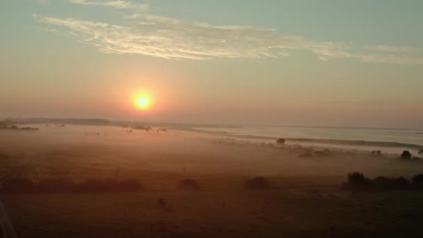 Légi felderítő. Gyönyörű ködös hajnal tavasszal a tónál. V4 — Stock videók