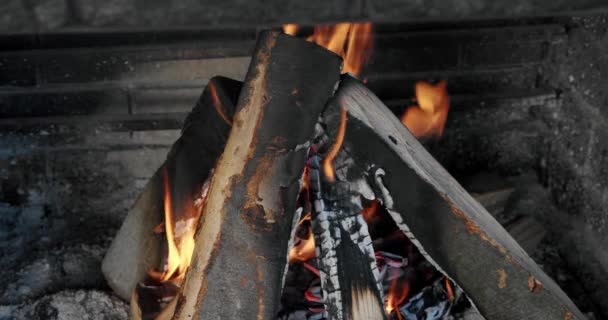 Oheň hořící stromy, zblízka tábořící oheň, hořící dříví, Zpomalený pohyb — Stock video