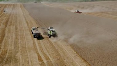 Havadan insansız hava aracı görüntülü hasat makinesi olgun buğday ekinlerini kesip rafine edilmeye hazır hale getiriyor. V7