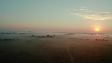 Hava aracı görüntüsü. İlkbaharda gölde güzel, sisli bir şafak. ve kırsal yol