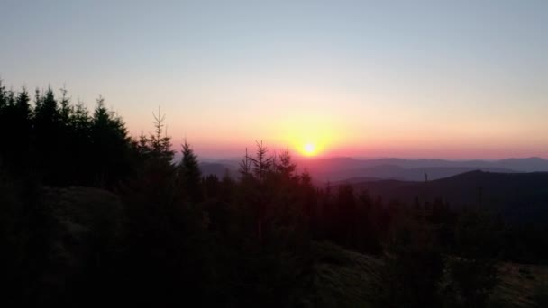 Veduta aerea del drone. Alba o tramonto in montagna, sorvolando gli alberi al sole Ampia vista V8 — Video Stock