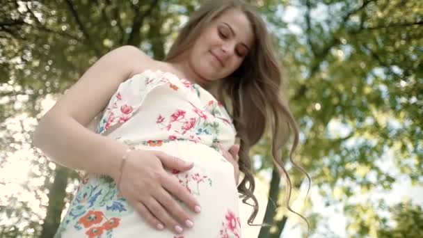 Gelukkige zwangere vrouw die bij de boom staat in de wei bij zonsondergang. Langzame beweging — Stockvideo