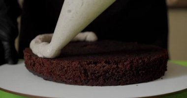 Kapatın. Kadın eli beyaz krema ve bisküviyle pasta yapıyor. V4