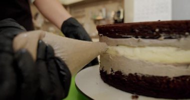 Kapatın. Kadın eli beyaz krema ve bisküviyle pasta yapıyor. V9