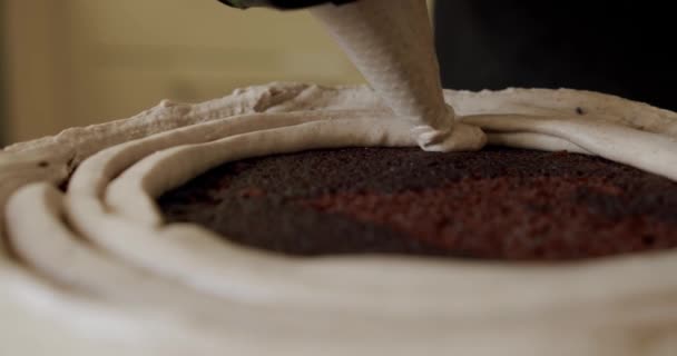 Ferme là. Mains de femme faisant gâteau avec crème blanche et biscuit. V6 — Video