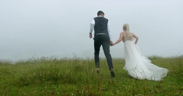 Розкішна пара біжить на гірському лузі на тлі туману і падає дощ. Повільний рух — стокове відео