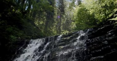 Yazın ormanda şelaleyle nehrin yavaş çekimini yapmak. Yavaş çekim