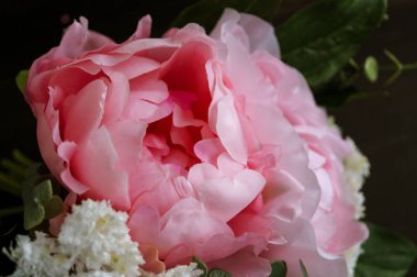 Siyah bir zemin üzerine pembe yapay peonies
