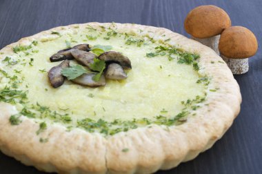 siyah arka plan üzerinde yabani mantar pasta