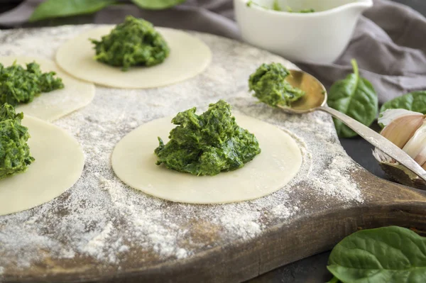 Ispanak ile ev yapımı köfte modelleme . Cooki için Malzemeler