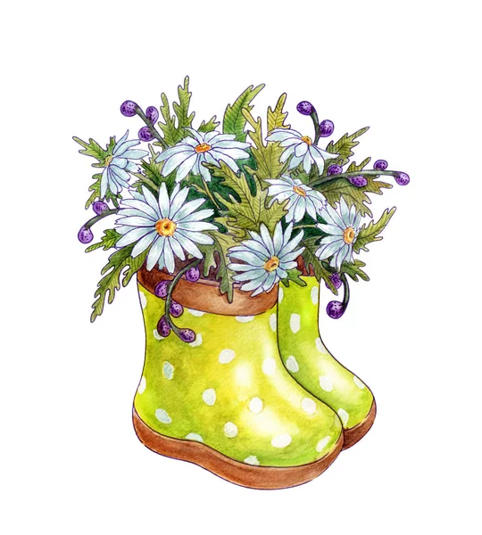 Watercolor bouquet of spring flowers chamomiles in rubber boots. — Stock Photo, Image