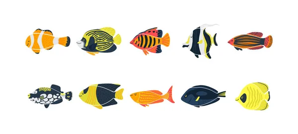 孤立した魚のイラスト。淡水水族館漫画の魚のセット. — ストックベクタ