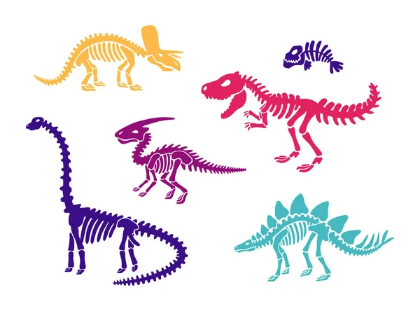 Fossili di scheletro di dinosauro insieme diplodocus, triceratopo, t-rex, stegosauro, parasaurolofo, pesce — Vettoriale Stock