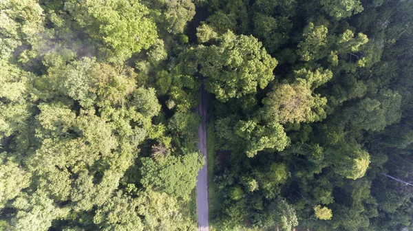 Aerial Road Tropisk Regnskog Thailand — Stockfoto