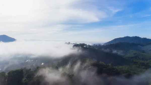 Morning Fog Dense Tropical Rainforest South Thailand — Stock Photo, Image