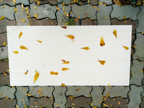 Сушеные Желтые Листья Дерева Сером Фоне Обои — стоковое фото