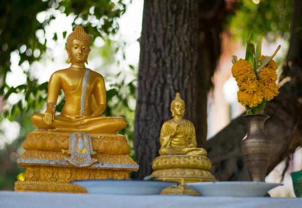 Goldene Buddha Statue Auf Grünem Hintergrund — Stockfoto