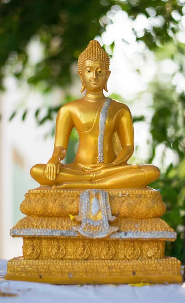 Statua Buddha Dorata Sfondo Verde — Foto Stock