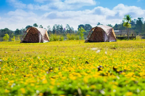 Sarı Çiçek Alanı Dağ Manzaralı Seyahat Çadırı — Stok fotoğraf