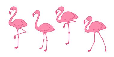 pembe flamingo karikatür vektör şirin flamingolar koleksiyonu Flamingo karakter hayvan egzotik Doğa Vahşi fauna illüstrasyon ayarla.