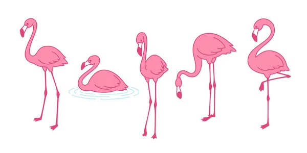 Cartoon Roze Flamingo Vector Ingesteld Pictogram Cute Flamingo Collectie Flamingo — Stockvector