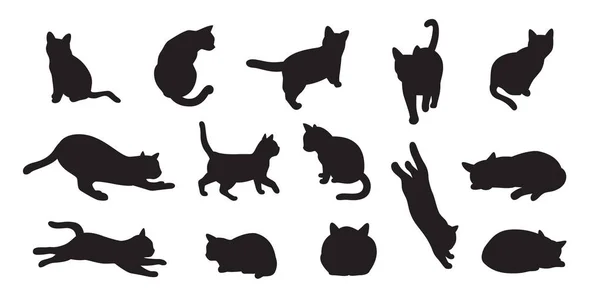 Cat Vektor Kotě Pestrobarevné Pet Kreslený Znak Ilustrace Silueta — Stockový vektor