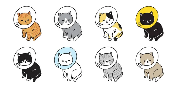 Katze Vektor Calico Kätzchen Kragen Symbol Logo Charakter Cartoon Ingwer — Stockvektor