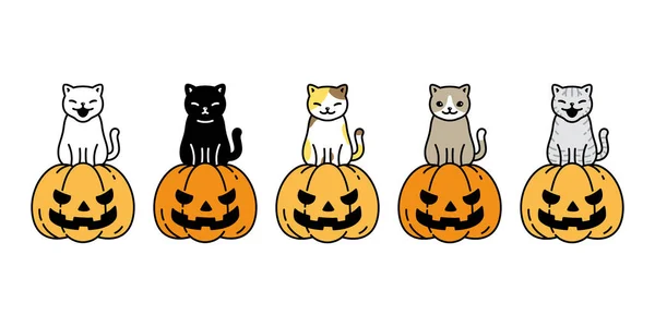 Katt Vektor Pumpa Halloween Ikon Kattunge Ras Kalico Logotyp Symbol — Stock vektor