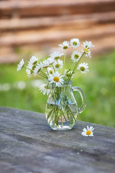 Charming Still Life Copy Space Chamomilles Daisies Water — Stock Photo, Image
