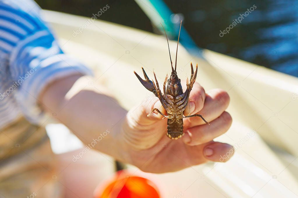 Process of cacthing  crawfish  and tackle in sweet water mountain lake