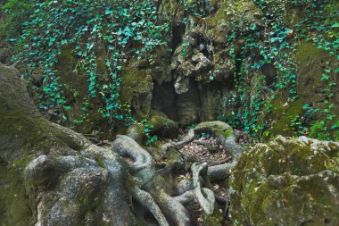 Kursunlu şelale park Antalya, Türkiye, harika faterfall orman görünümünde