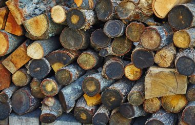 Burada ateş için odun