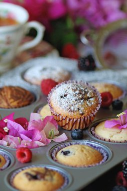 Sadece pişmiş formundaki Muffins