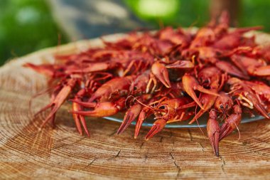 Kerevit pişmiş ve ahşap arka plan üzerinde hizmet